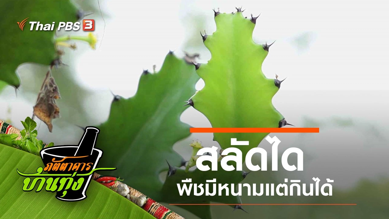 สลัดได