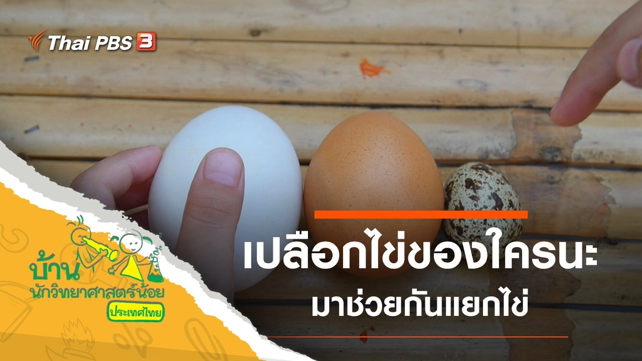 เปลือกไข่ของใครนะ