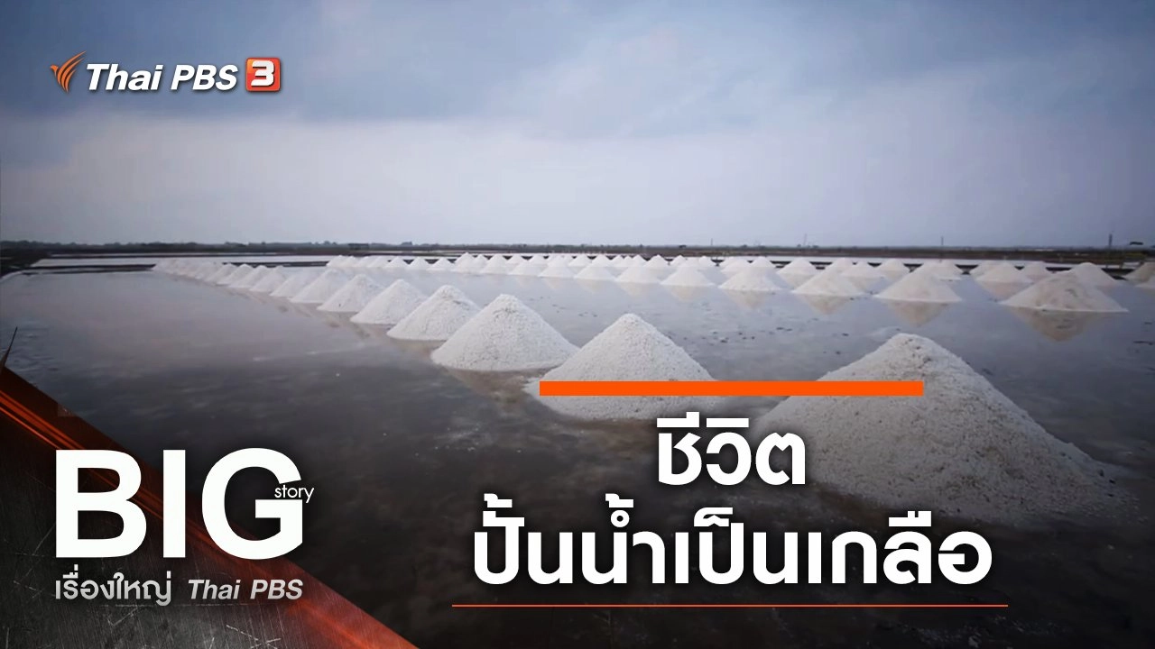 ชีวิตปั้นน้ำเป็นเกลือ