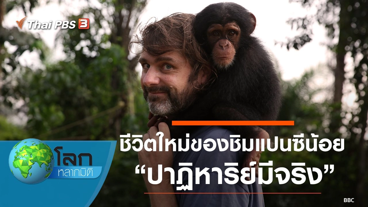 ชีวิตใหม่ของชิมแปนซีน้อย ตอน ปาฏิหาริย์มีจริง