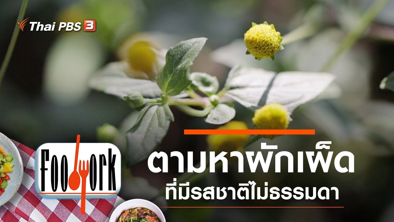 ผักเผ็ด