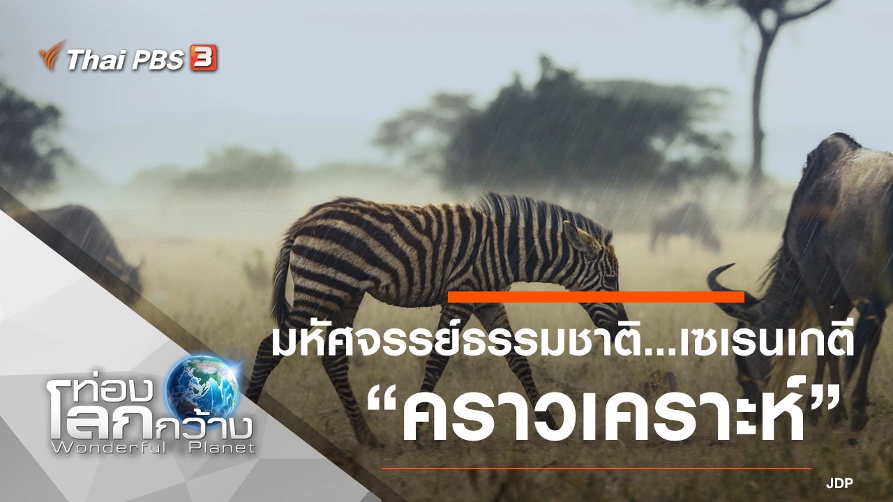 มหัศจรรย์ธรรมชาติ...เซเรนเกตี ตอน คราวเคราะห์