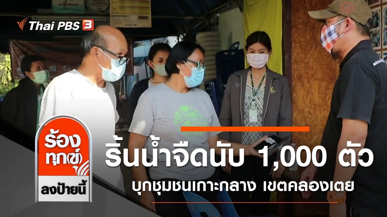 ริ้นน้ำจืดนับ 1,000 ตัว บุกชุมชนเกาะกลาง เขตคลองเตย กทม.