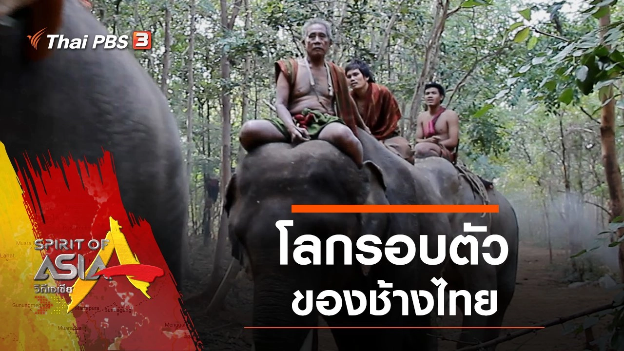 โลกรอบตัวของช้างไทย