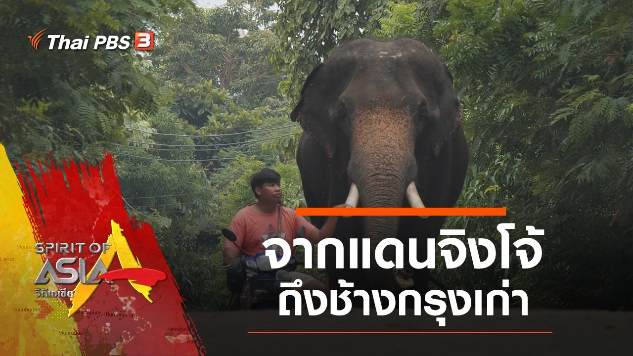 จากแดนจิงโจ้ถึงช้างกรุงเก่า