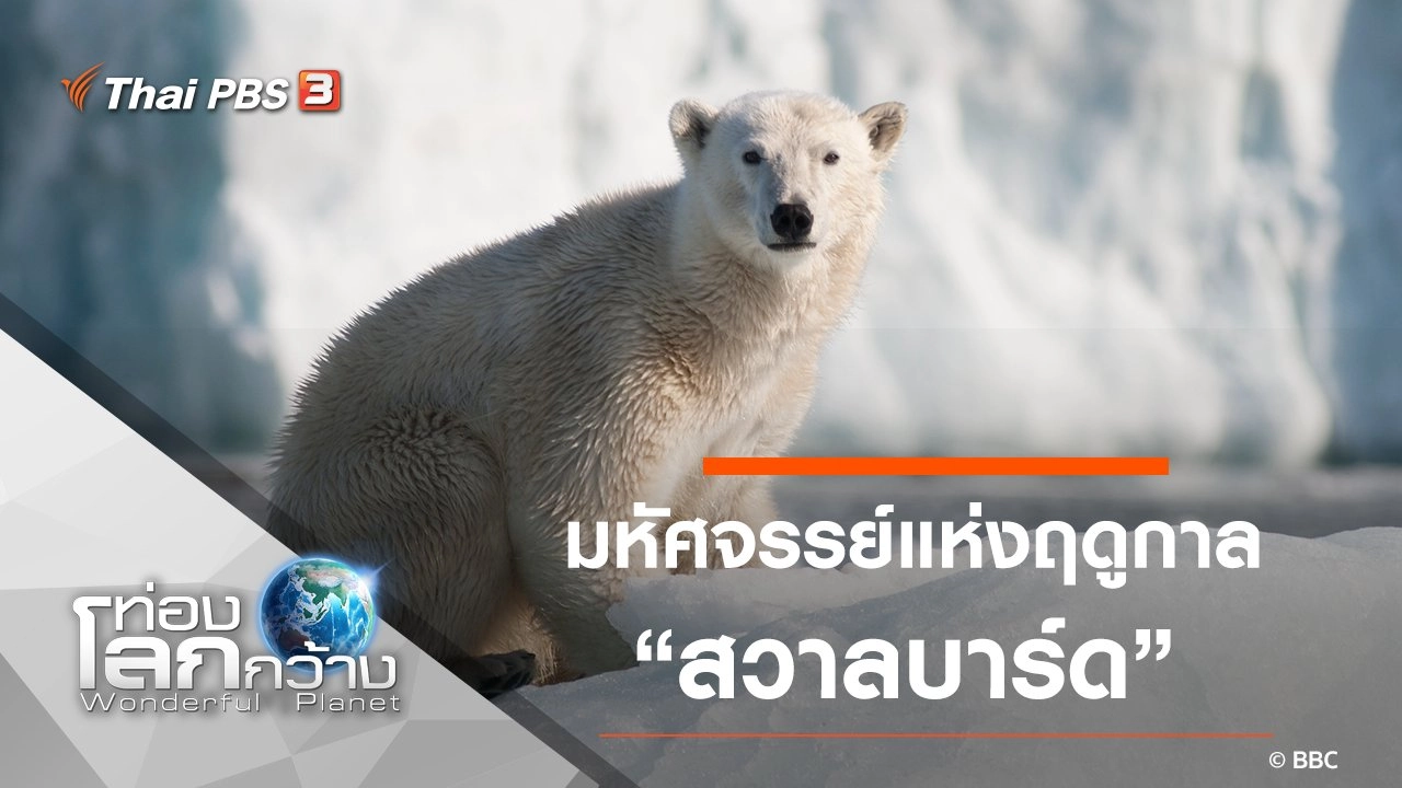 มหัศจรรย์แห่งฤดูกาล ตอน สวาลบาร์ด