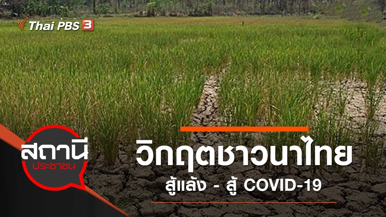 วิกฤตชาวนาไทย สู้แล้ง - สู้ COVID-19