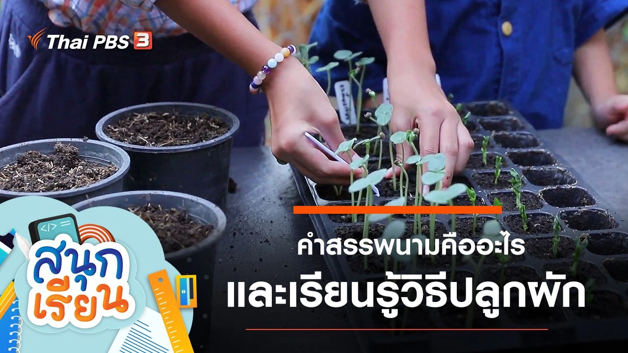 คำสรรพนามคืออะไร และเรียนรู้วิธีปลูกผัก