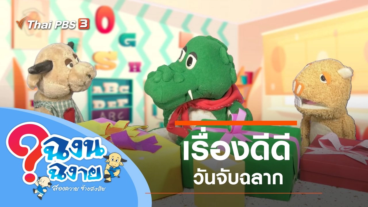 เรื่องดีดีวันจับฉลาก