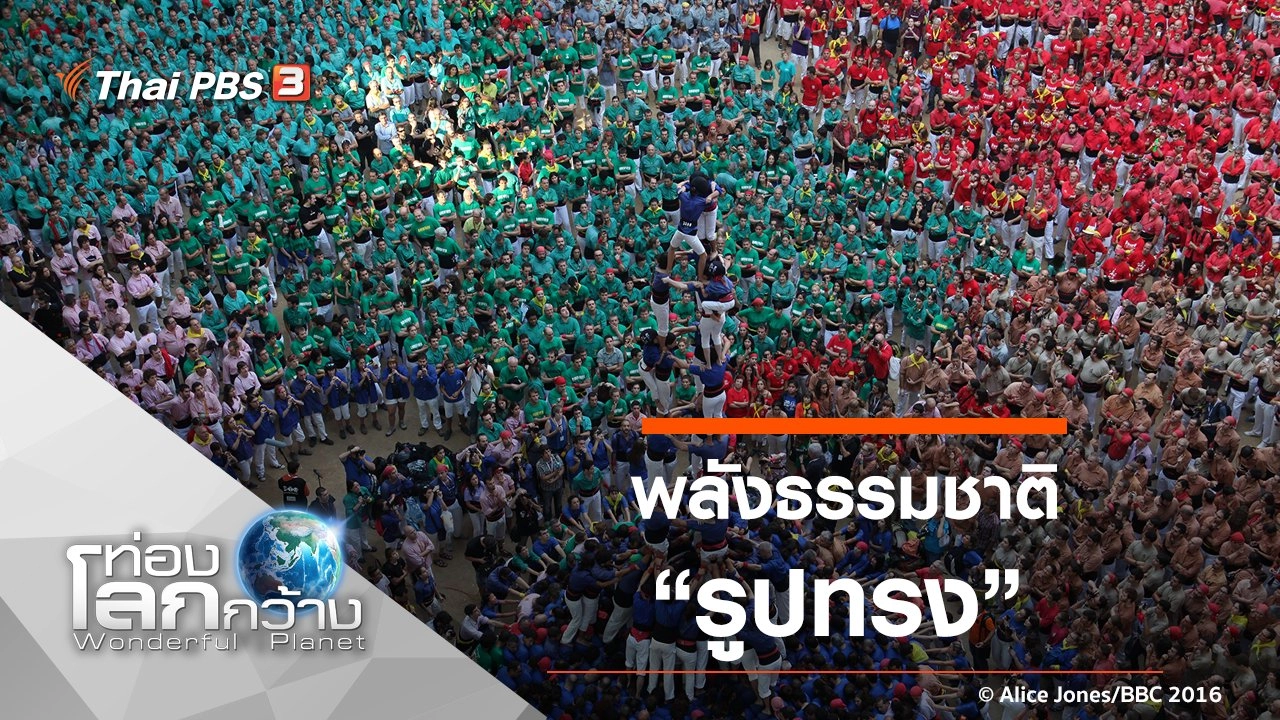 พลังธรรมชาติ ตอน รูปทรง