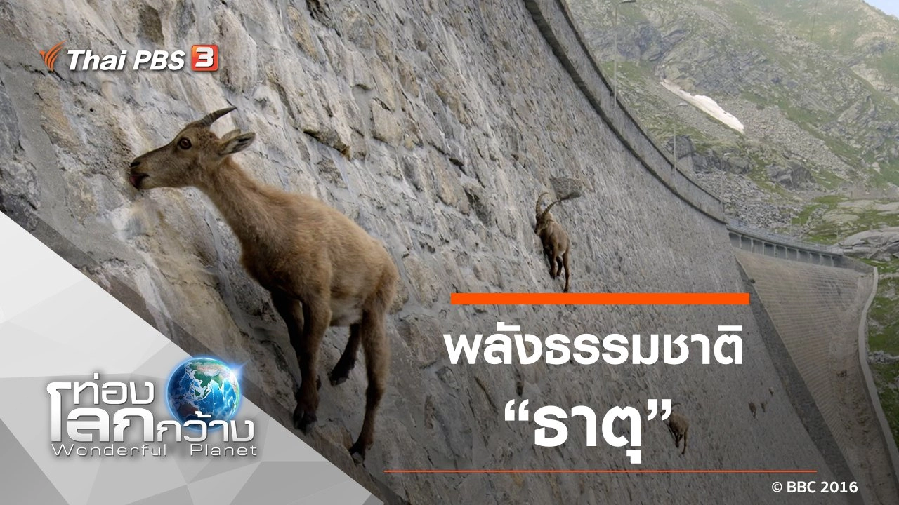 พลังธรรมชาติ ตอน ธาตุ