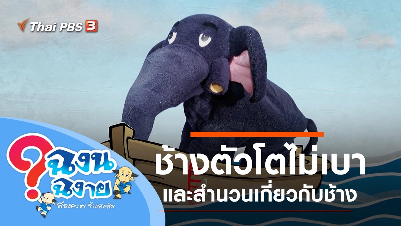 ช้างตัวโตไม่เบา