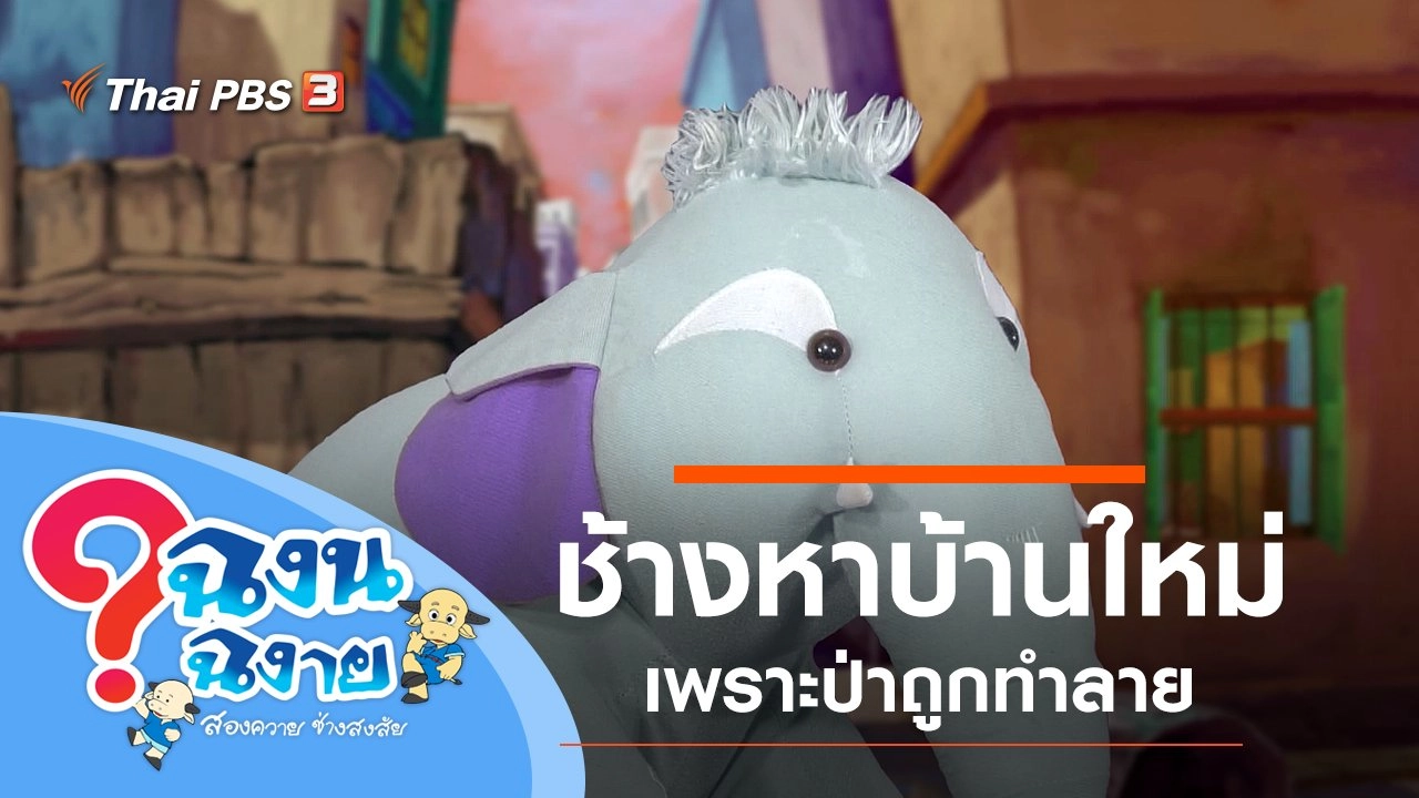 ช้างหาบ้านใหม่