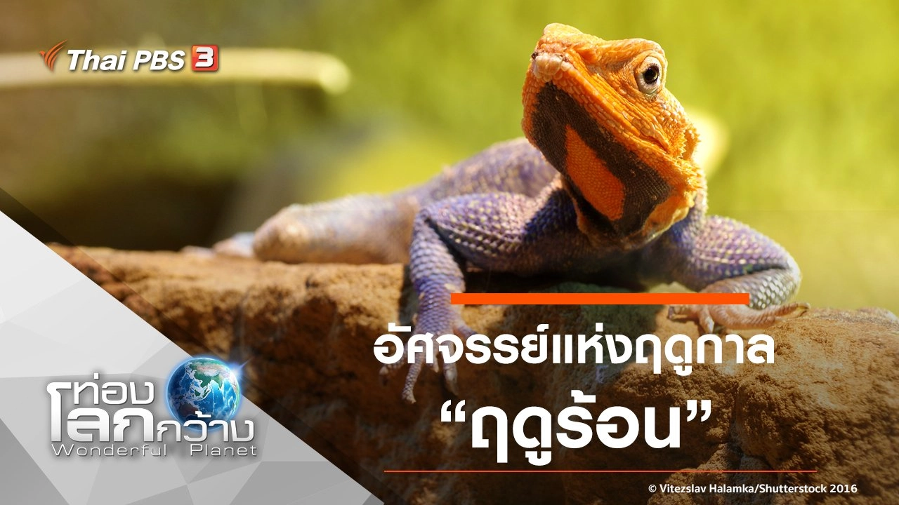 อัศจรรย์แห่งฤดูกาล ตอน ฤดูร้อน