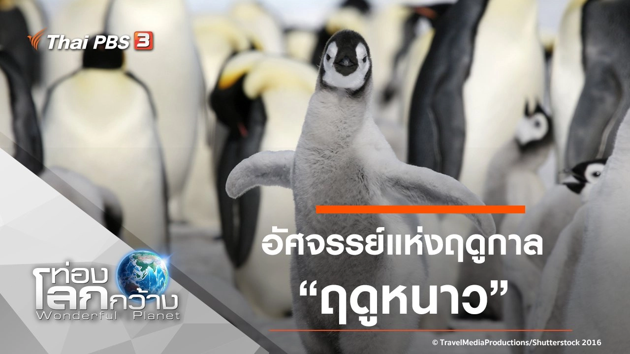 อัศจรรย์แห่งฤดูกาล ตอน ฤดูหนาว