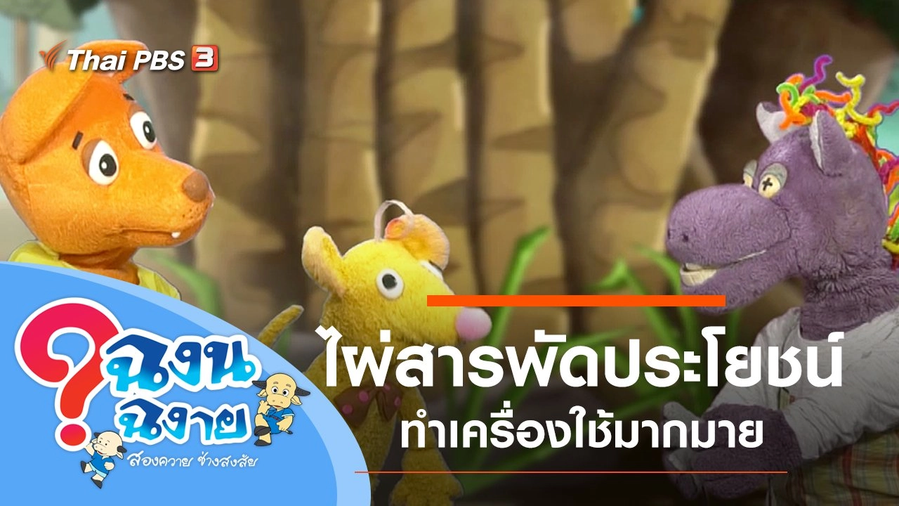 ไผ่สารพัดประโยชน์