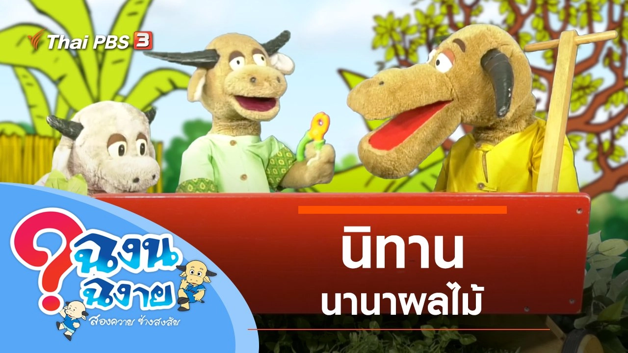 นานาผลไม้