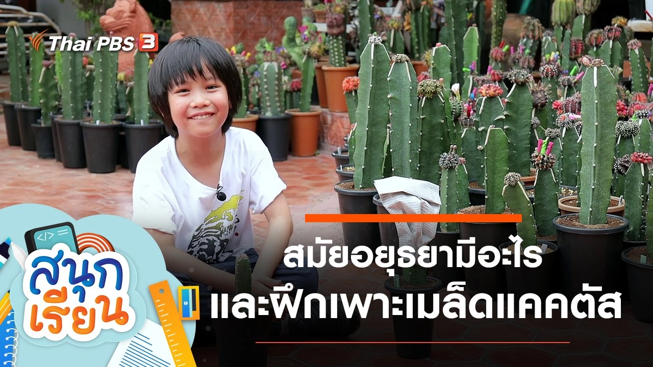 สมัยอยุธยามีอะไร, เพิ่มจำนวนแคคตัสและแบ่งปันให้ผู้อื่นเพื่อเป็น Green Therapy