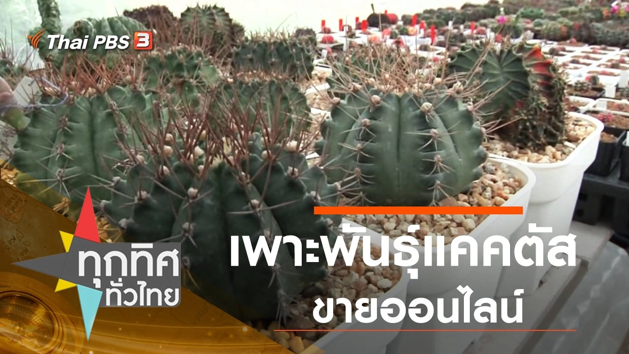 ประเด็นข่าว (11 มิ.ย. 63)
