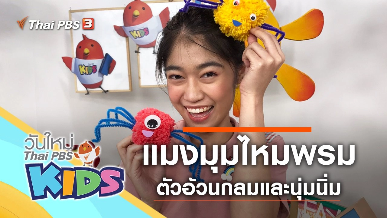 แมงมุมไหมพรม