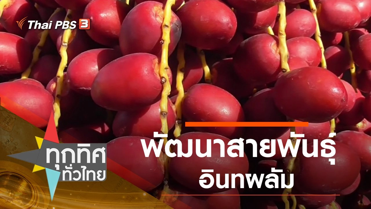 ทุกทิศทั่วไทย