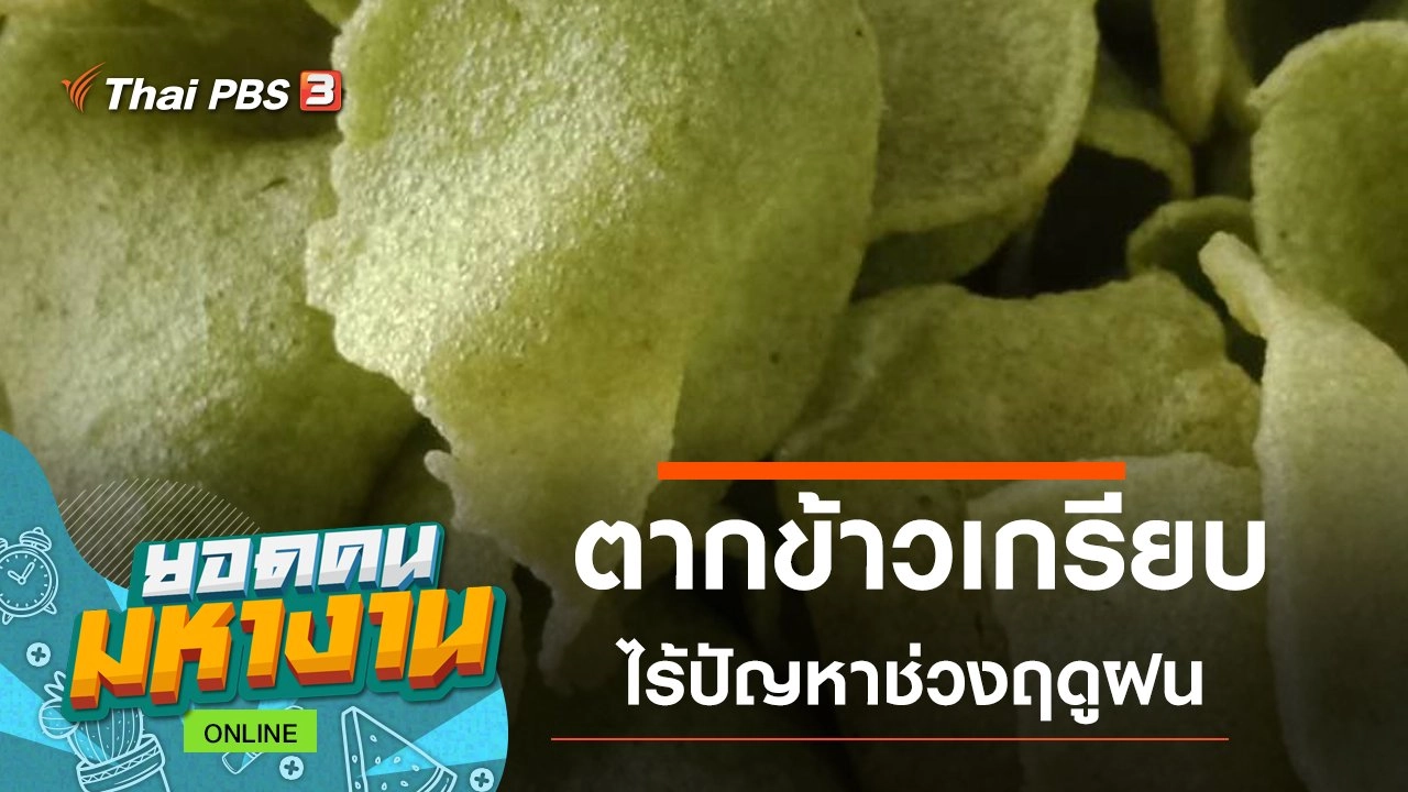 ONLINE : ตากข้าวเกรียบไร้ปัญหาช่วงฤดูฝน