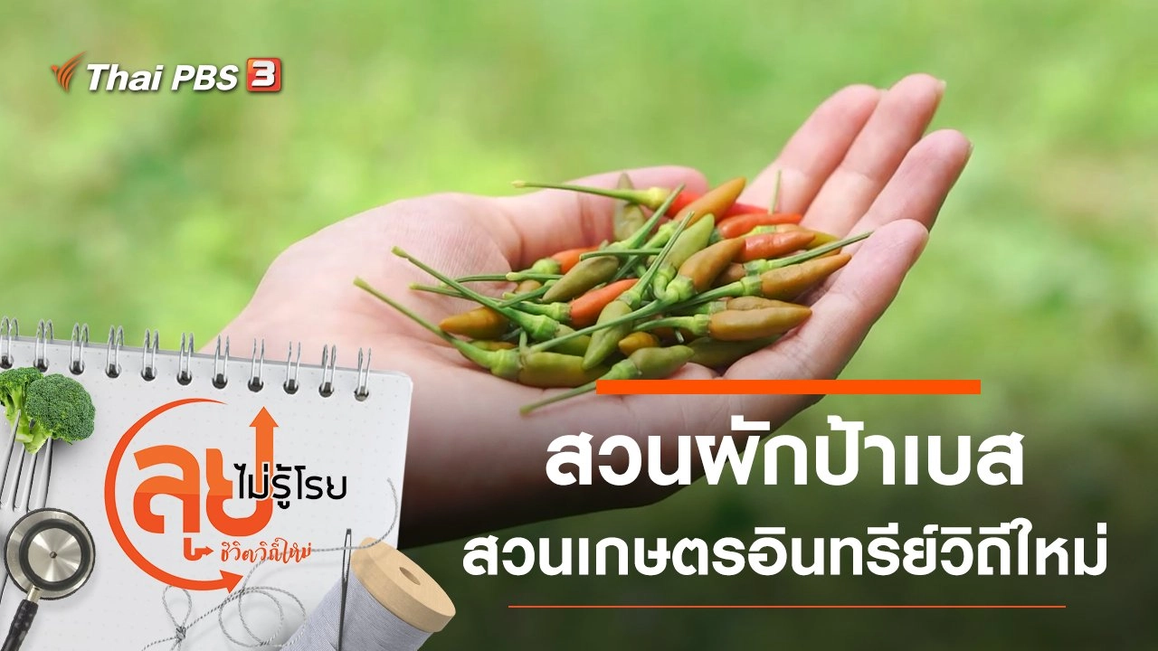 สวนผักป้าเบส สวนเกษตรอินทรีย์วิถีใหม่