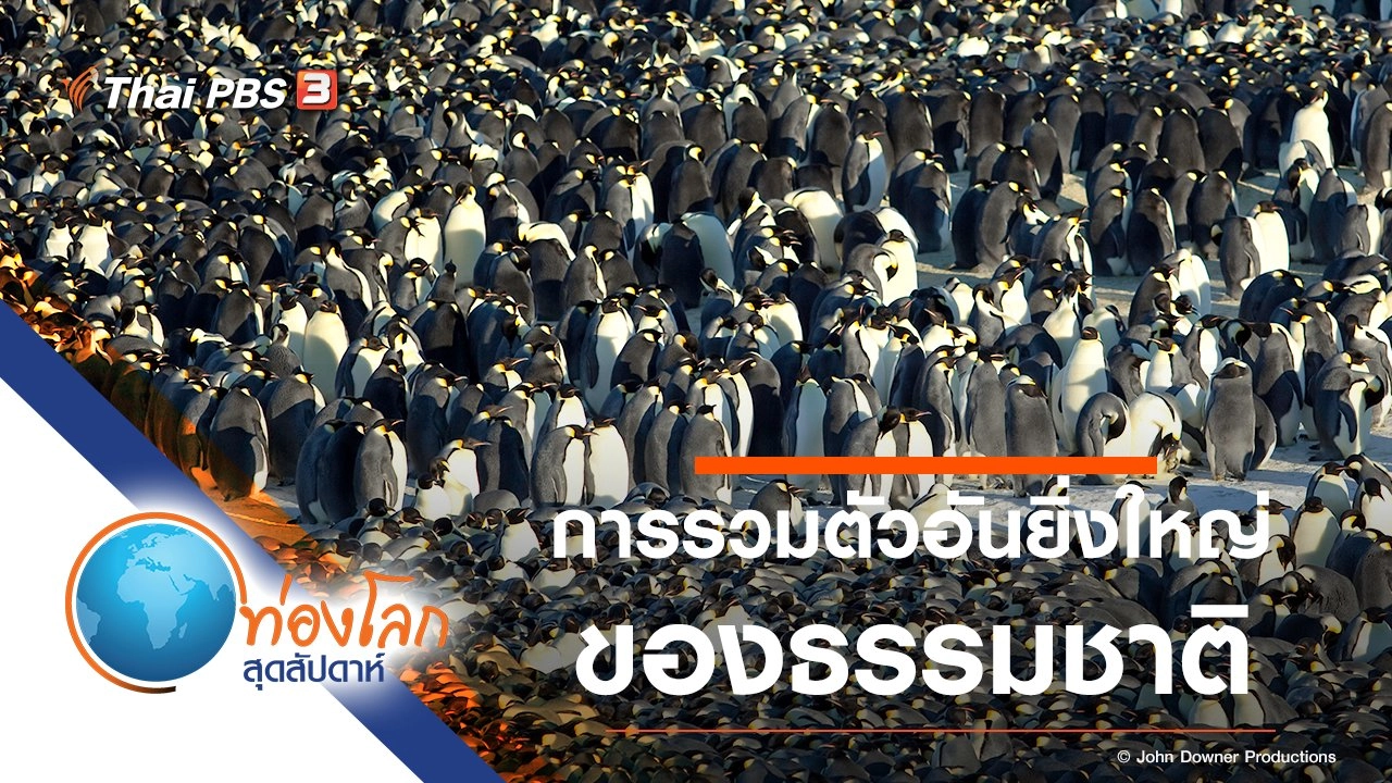การรวมตัวอันยิ่งใหญ่ของธรรมชาติ