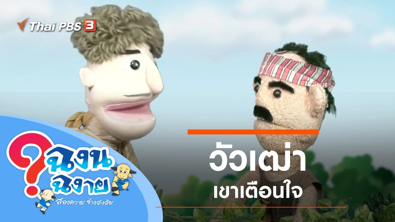 วัวเฒ่า เขาเตือนใจ