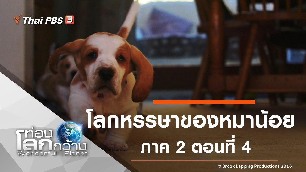 โลกหรรษาของหมาน้อย ภาค 2 ตอนที่ 4