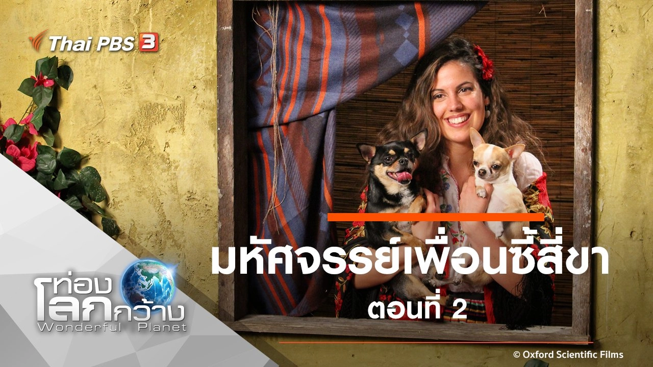 มหัศจรรย์เพื่อนซี้สี่ขา ตอนที่ 2