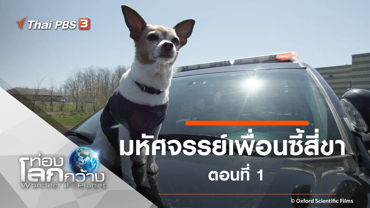 มหัศจรรย์เพื่อนซี้สี่ขา ตอนที่ 1