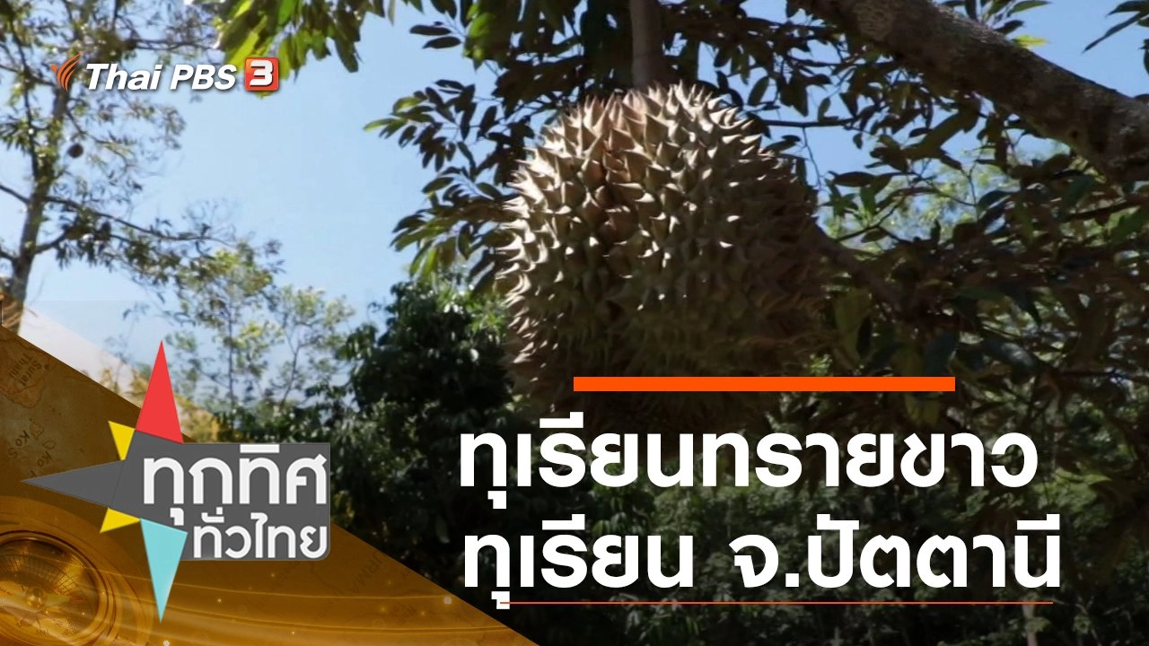ประเด็นข่าว (1 ก.ค. 63)