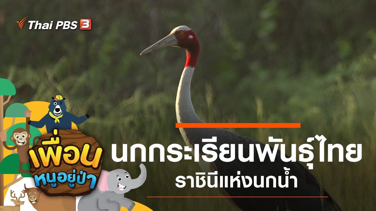 เพื่อนหนูอยู่ป่า