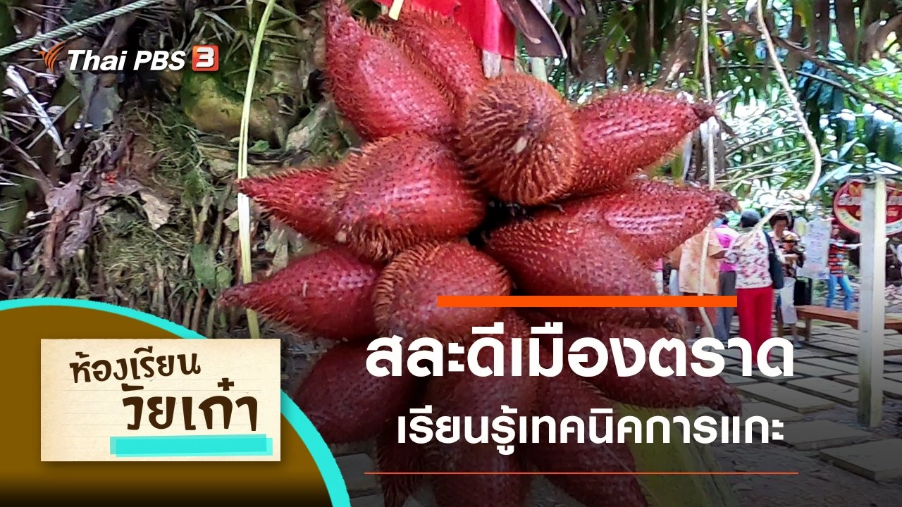 สละดีเมืองตราด