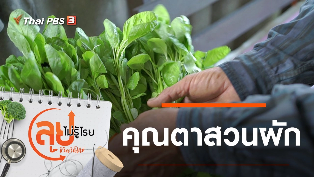 ลุยไม่รู้โรย