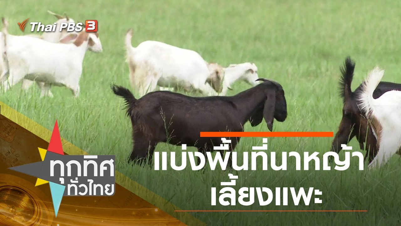 ประเด็นข่าว (30 มิ.ย. 63)