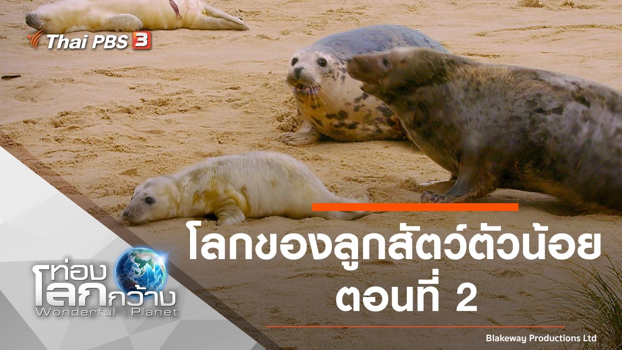 โลกของลูกสัตว์ตัวน้อย ตอนที่ 2