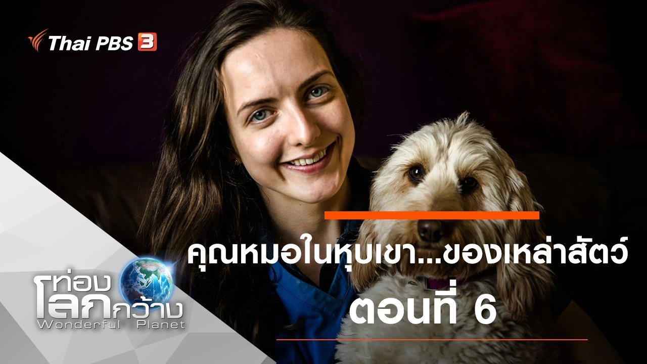 คุณหมอในหุบเขา...ของเหล่าสัตว์ ตอนที่ 6