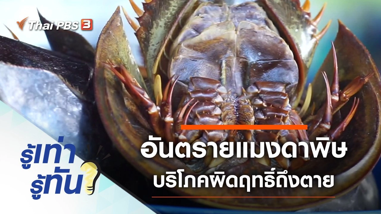 อันตรายแมงดาพิษ บริโภคผิดฤทธิ์ถึงตาย