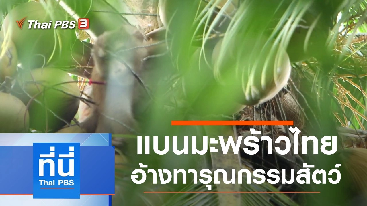 ประเด็นข่าว (6 ก.ค. 63)