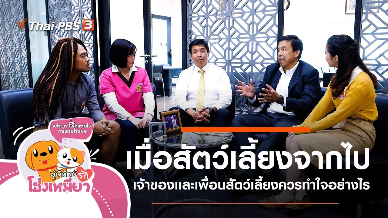 เมื่อสัตว์เลี้ยงจากไป เจ้าของเเละเพื่อนสัตว์เลี้ยงควรทำใจอย่างไร