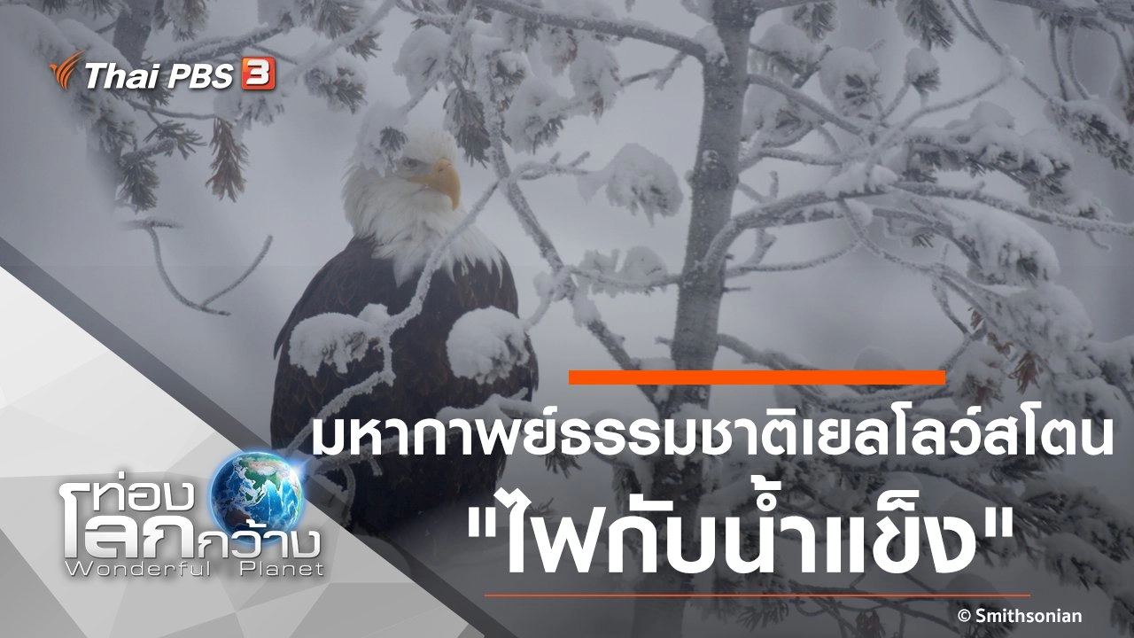 มหากาพย์ธรรมชาติเยลโลว์สโตน ตอน ไฟกับน้ำแข็ง