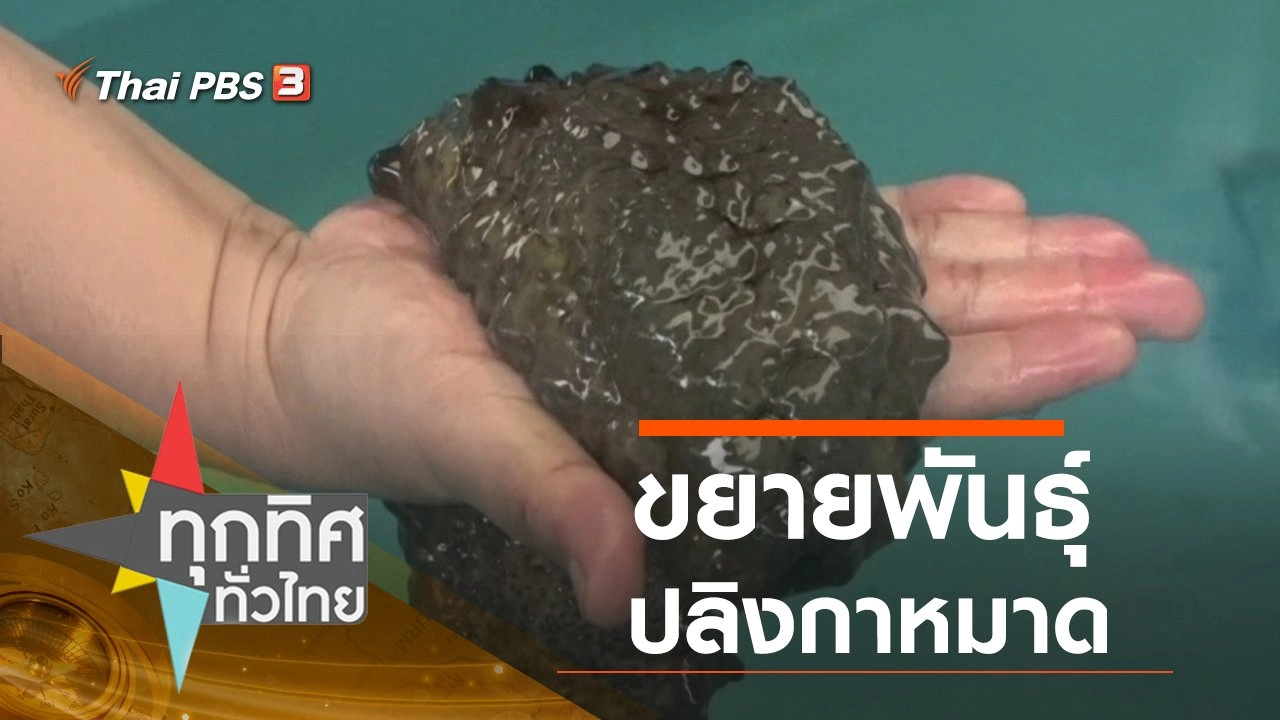 ทุกทิศทั่วไทย