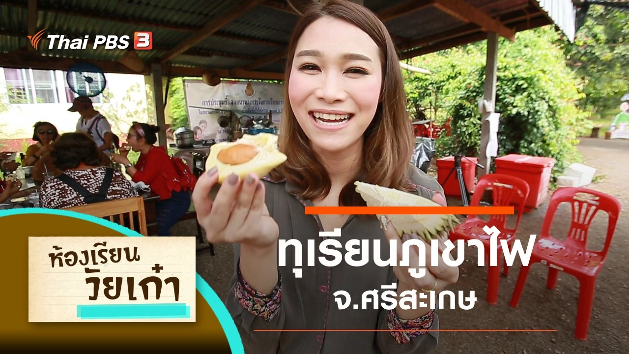 ทุเรียนภูเขาไฟ จ.ศรีสะเกษ