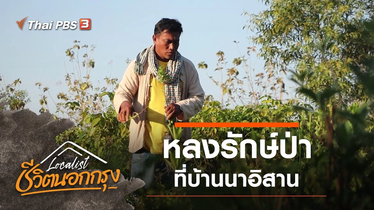 หลงรักษ์ป่า ที่บ้านนาอิสาน