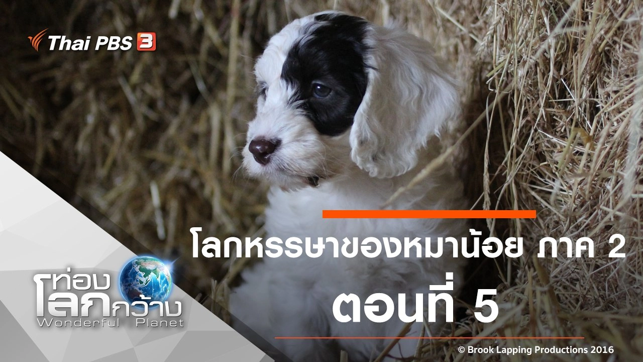 โลกหรรษาของหมาน้อย ภาค 2 ตอนที่ 5