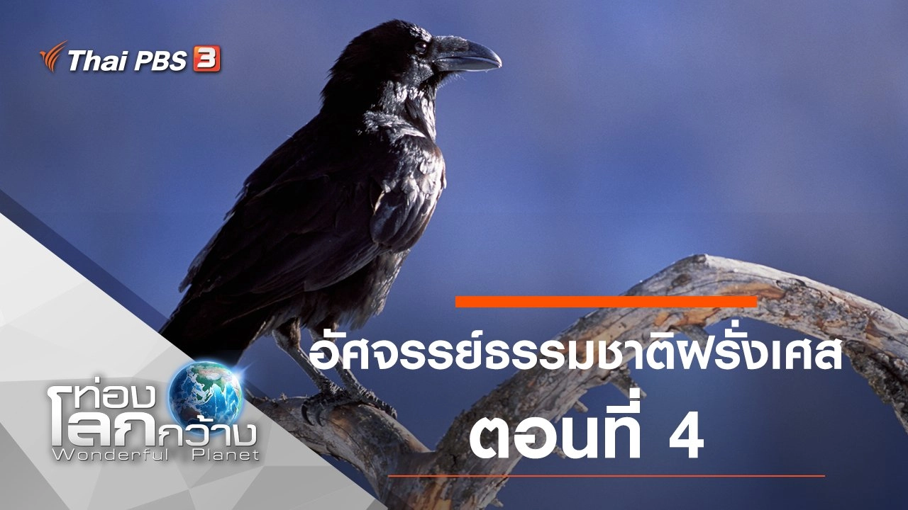 อัศจรรย์ธรรมชาติฝรั่งเศส ตอนที่ 4