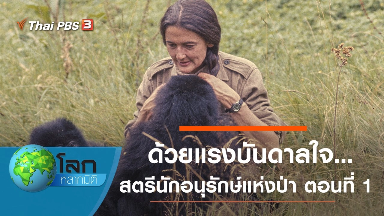 ด้วยแรงบันดาลใจ...สตรีนักอนุรักษ์แห่งป่า ตอนที่ 1