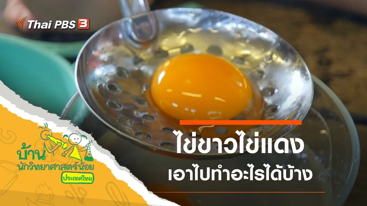 ไข่ขาวไข่แดง